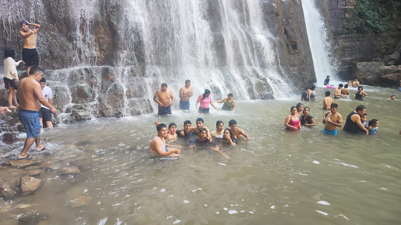 SELVA CENTRAL BÁSICO